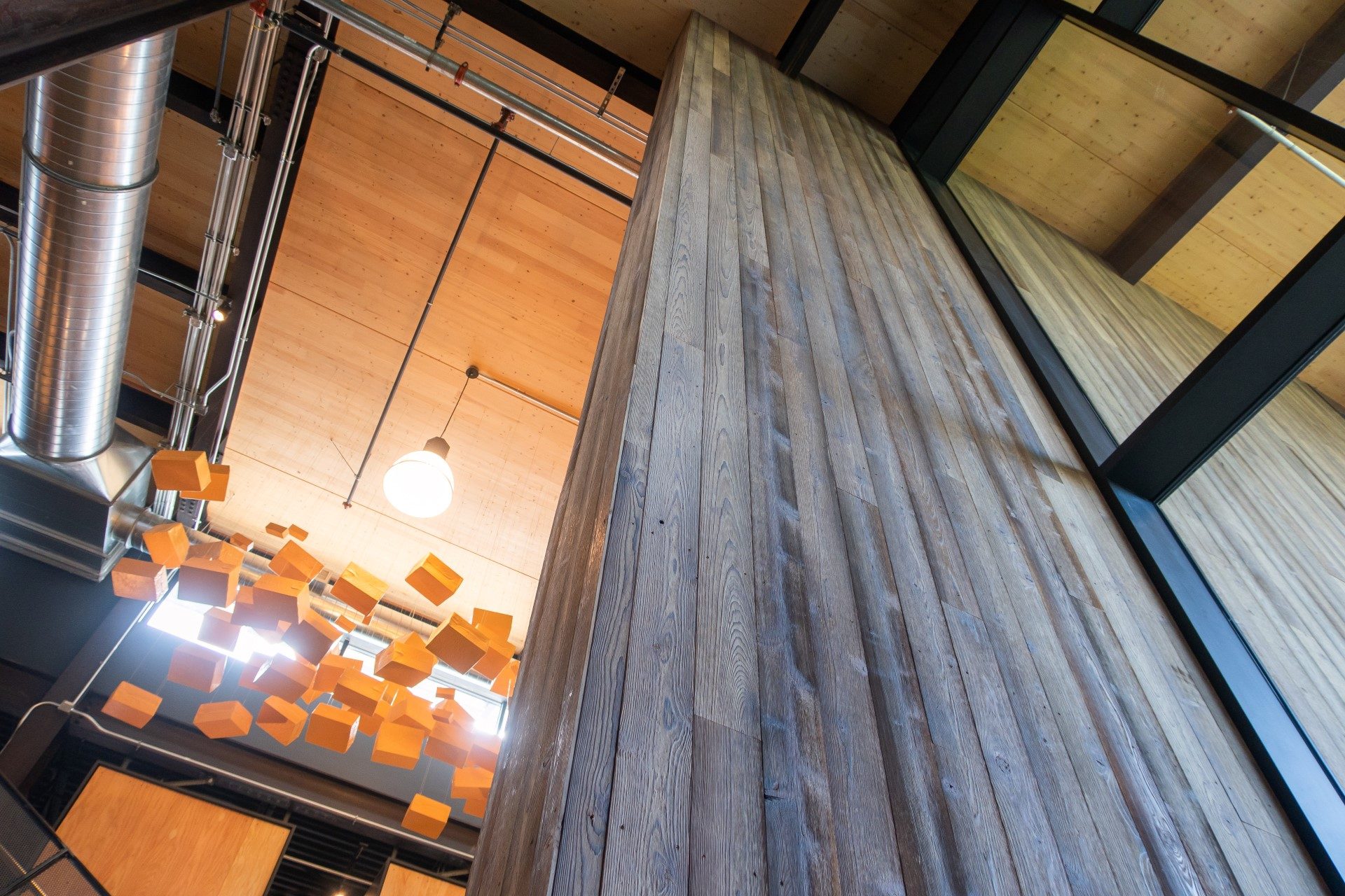 Interior Cedar Paneling · Rustic Reclaimed
